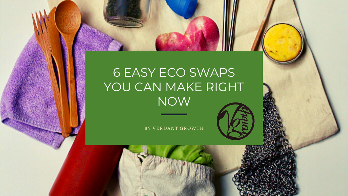 6 Easy Eco Swaps You Can Make RIGHT NOW