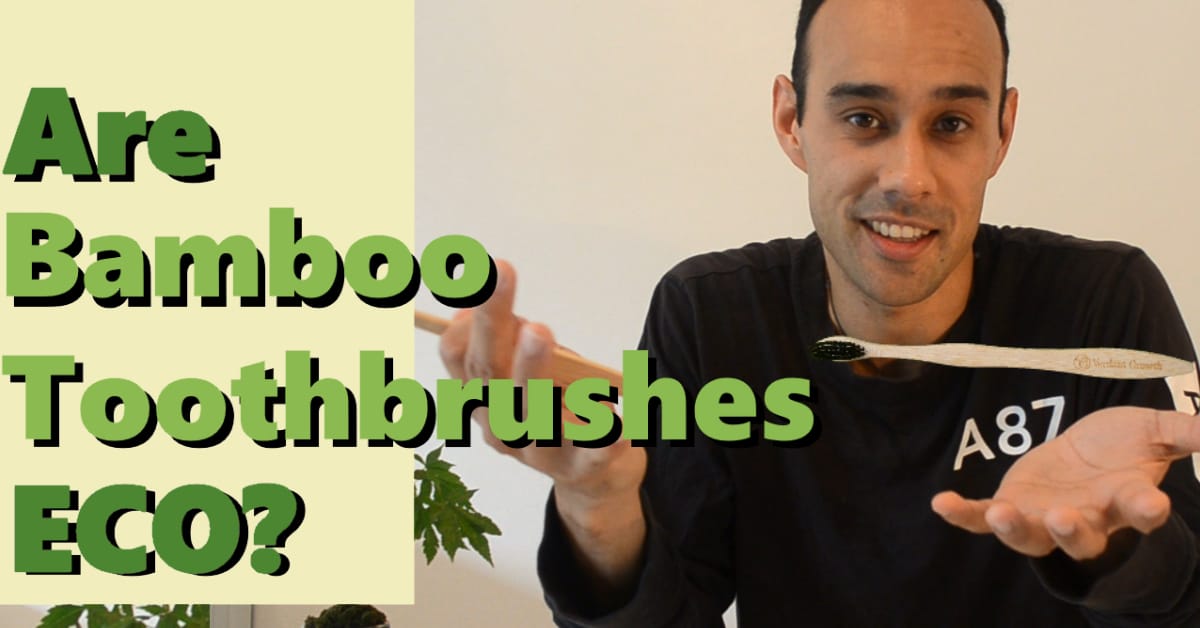 YT: Are Bamboo Toothbrushes Really ECO?