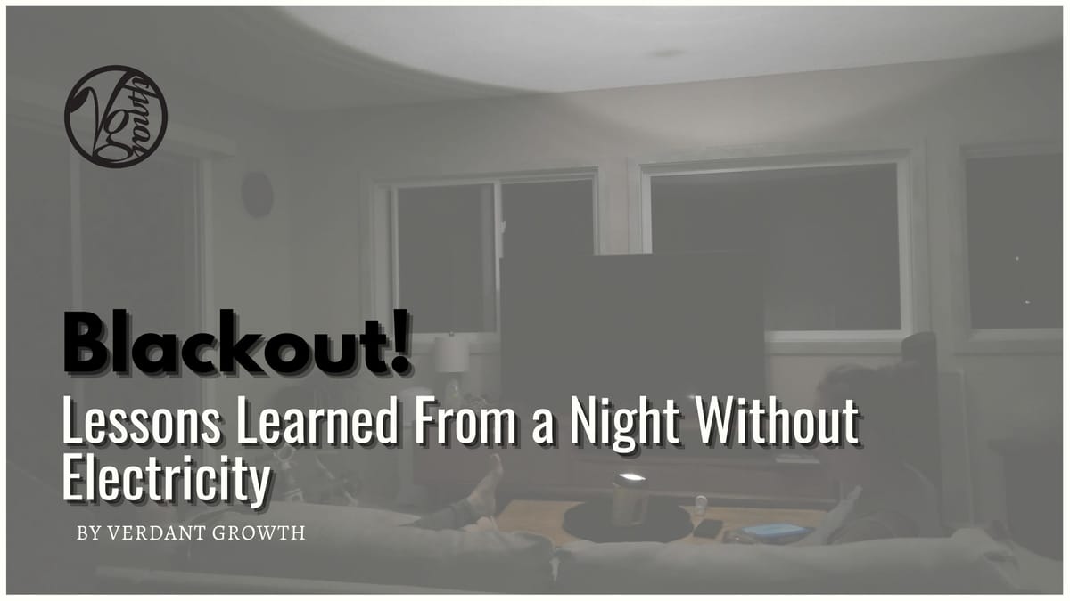 Blackout! Lessons Learned From a Night Without Electricity