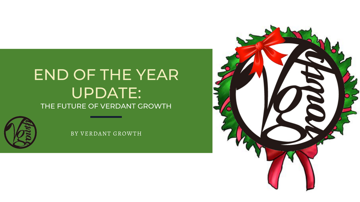 End of the Year Update: 2020