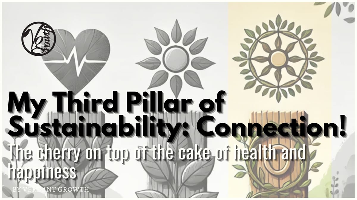 My Third Pillar of Sustainability - Connection