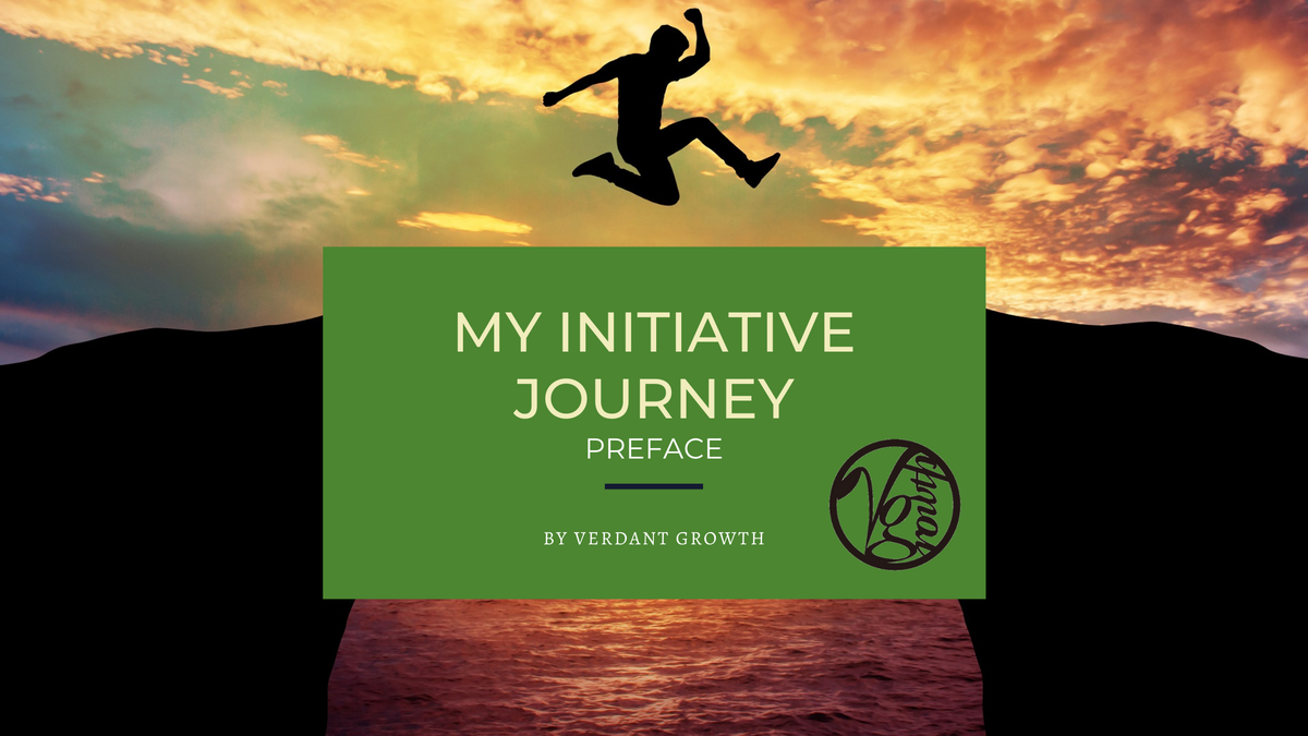 My Initiative Journey: Preface