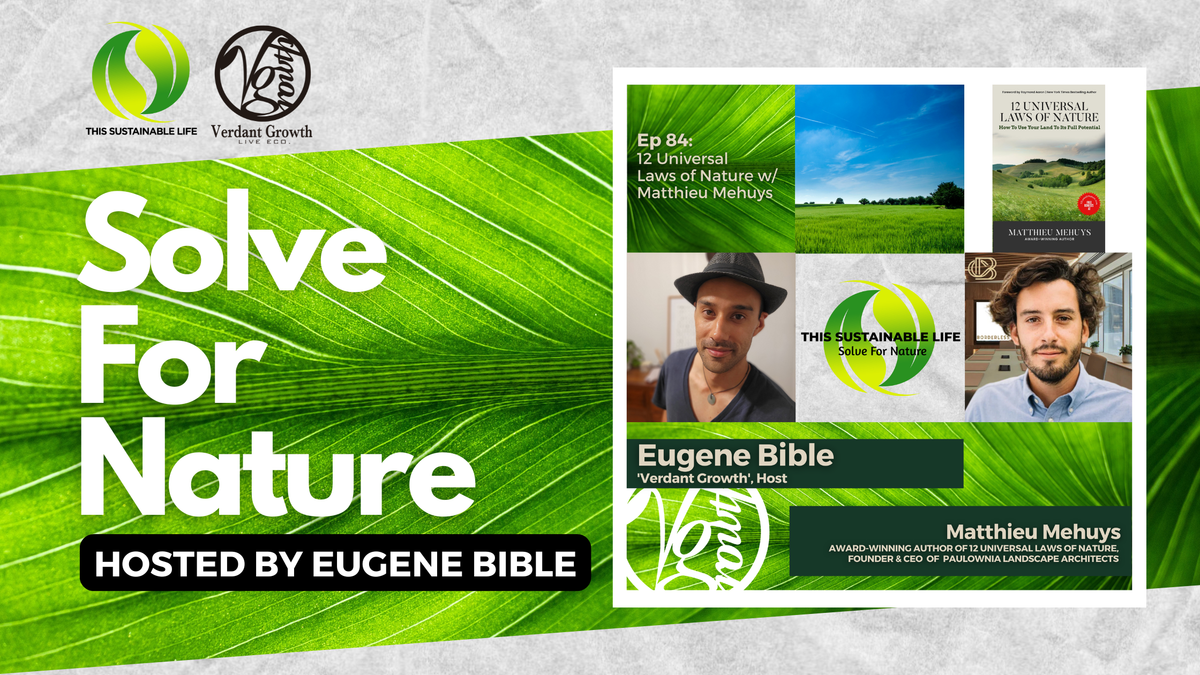 TSL:SFN - 12 Universal Laws of Nature w/ Matthieu Mehuys