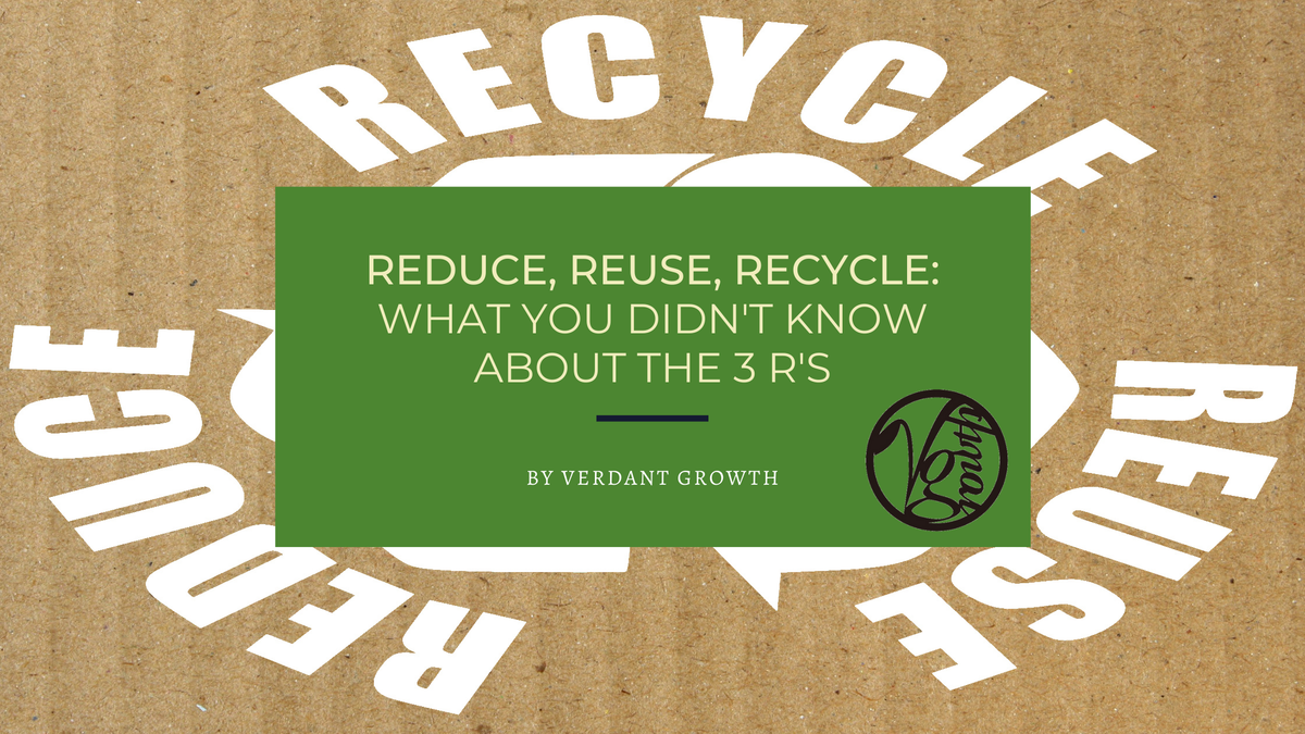 Reduce, Reuse, Recycle: What You Didn’t Know About The 3 R’s