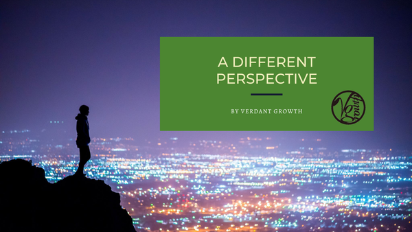 A Different Perspective