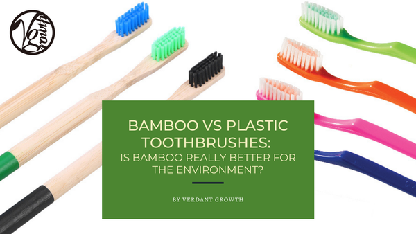 Bamboo vs Plastic Toothbrushes:  Are Bamboo Toothbrushes REALLY Environmentally-friendly?