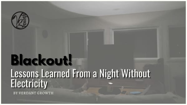 Blackout! Lessons Learned From a Night Without Electricity