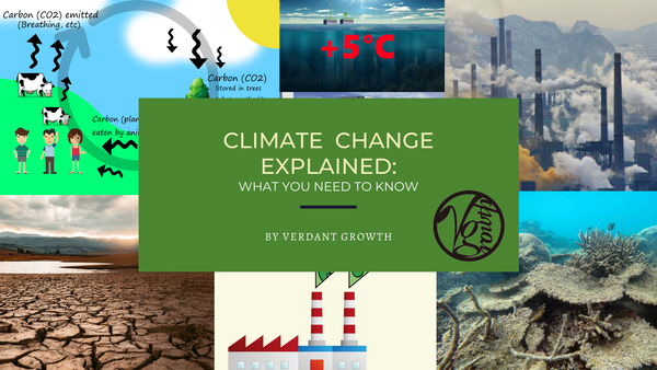 Climate Change Explained: What You Need to Know