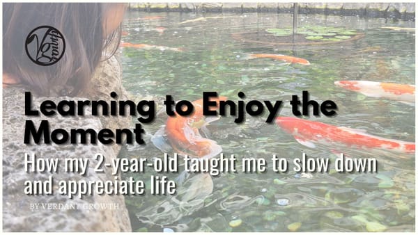 Learning to Enjoy the Moment - How my 2-year old son taught me to slow down and appreciate life