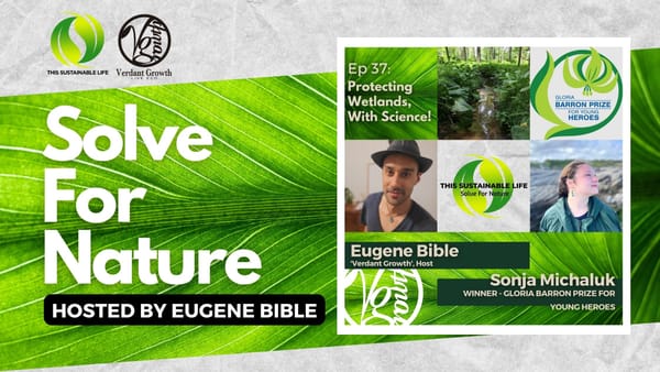 TSL:SFN - Protecting Wetlands, With Science! w/ Sonja Michaluk