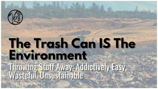 The Trash Can IS The Environment