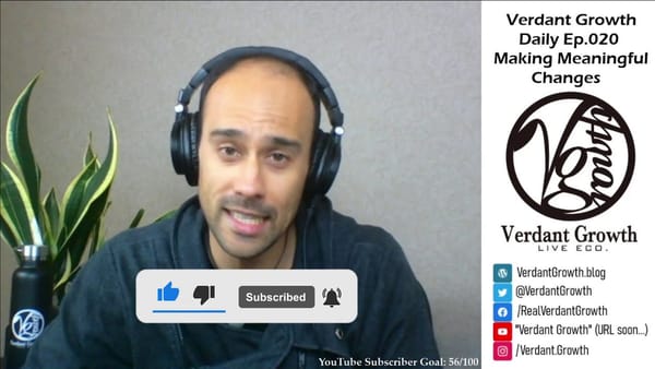 The VG Daily: 020 - How to Make Meaningful Changes