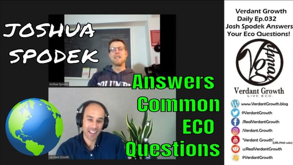 The VG Daily: 032 - Joshua Spodek Answers Common Questions About Environment