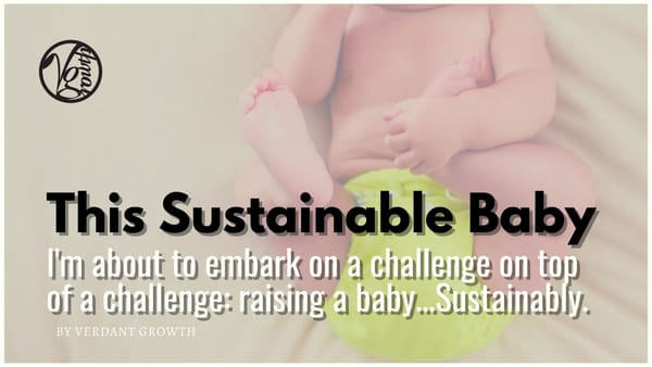 This Sustainable Baby